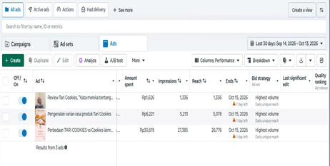 Meta Ads Manager campaign view